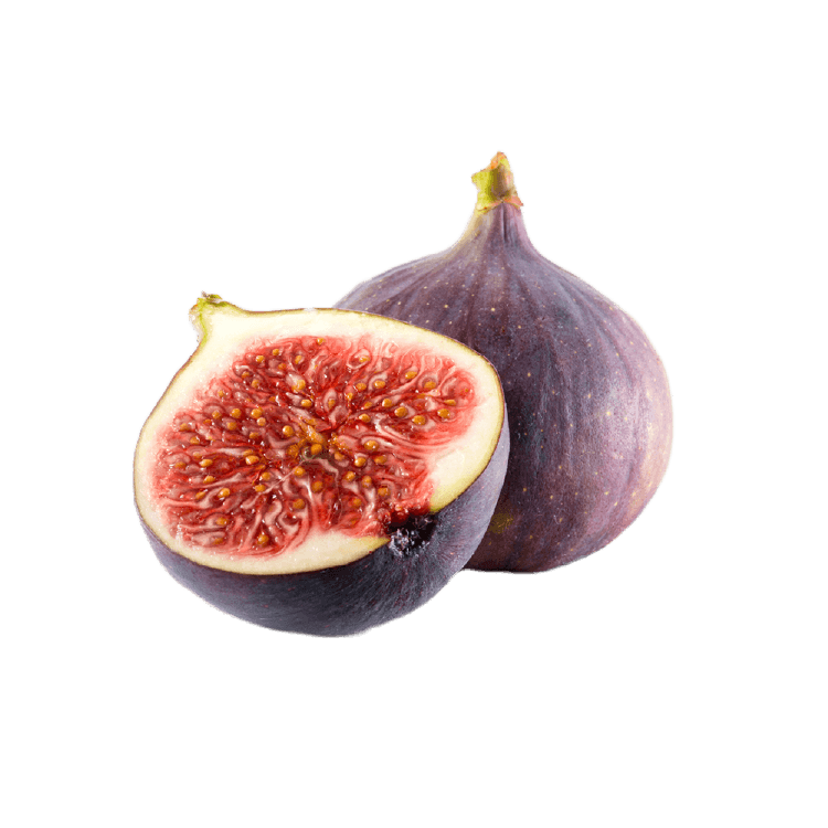 Ucak Kardesler